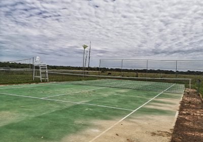tenis tenis